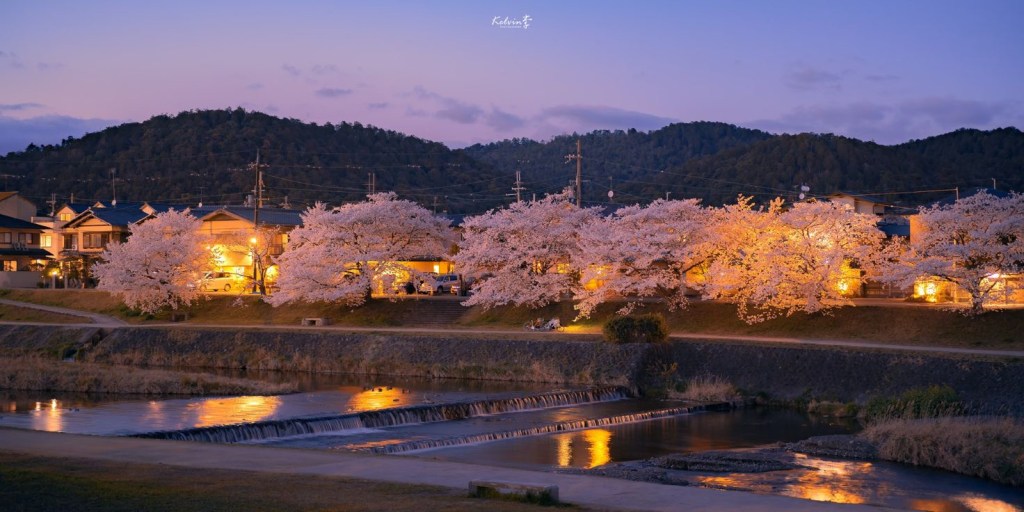 Camille is going to&nbsp;Japan!